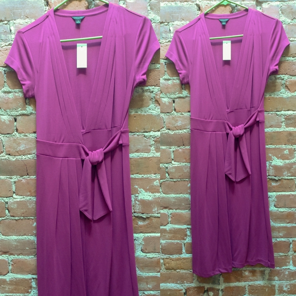 Raspberry Ann Taylor Dress